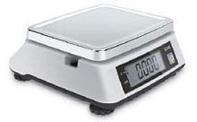 CAS SWN-15 DD картинка от магазина Кассоптторг