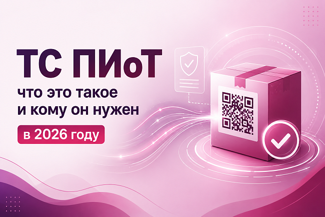 ТС ПИоТ: что это такое и кому он нужен в 2026 году